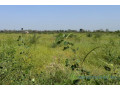 terrain-agricole-de-18-hectare-vers-fissel-small-2