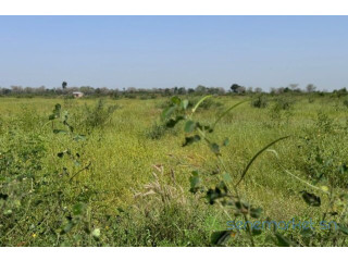 Terrain Agricole de 1,8 hectare vers Fissel
