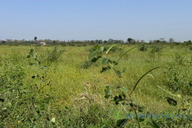 terrain-agricole-de-18-hectare-vers-fissel-big-0