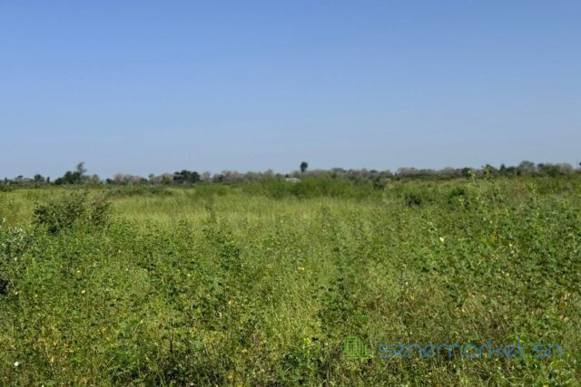 terrain-agricole-de-18-hectare-vers-fissel-big-1