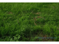 terrain-de-1-hectare-vers-notto-diobass-small-1