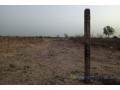 terrain-de-1-hectare-vers-ngueniene-small-2