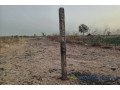 terrain-de-1-hectare-vers-ngueniene-small-0