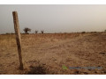 terrain-de-1-hectare-vers-ngueniene-small-1