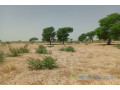 terrain-de-106-hectare-vers-tassette-small-1