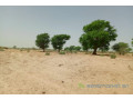 terrain-de-106-hectare-vers-tassette-small-2