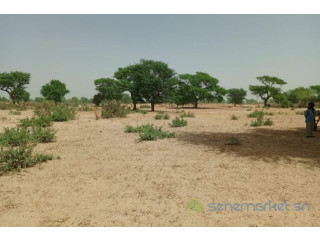 Terrain de 1,06 hectare vers Tassette
