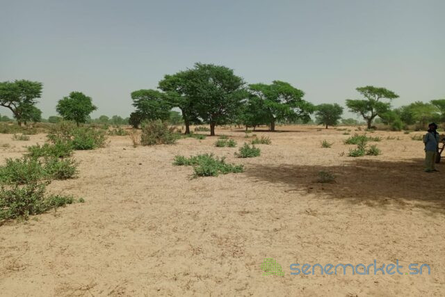 terrain-de-106-hectare-vers-tassette-big-0