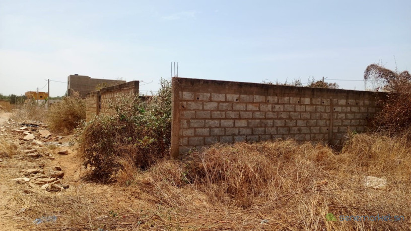 terrain-de-300-metres-carres-a-vendre-a-nguerigne-senegal-big-1