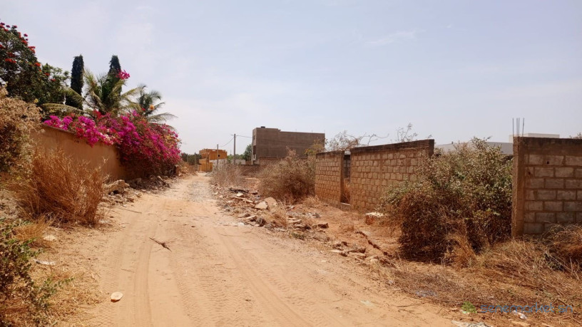 terrain-de-300-metres-carres-a-vendre-a-nguerigne-senegal-big-3