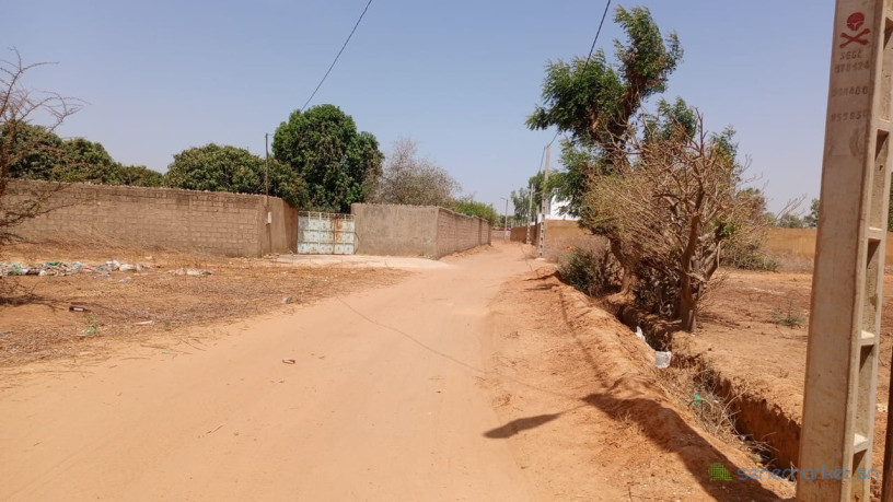 terrain-de-300-metres-carres-a-vendre-a-nguerigne-senegal-big-2