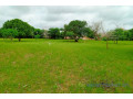 terrain-de-127-hectare-vers-keur-moussa-small-2