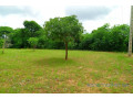 terrain-de-127-hectare-vers-keur-moussa-small-1