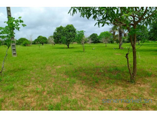 Terrain de 1,27 hectare vers Keur Moussa