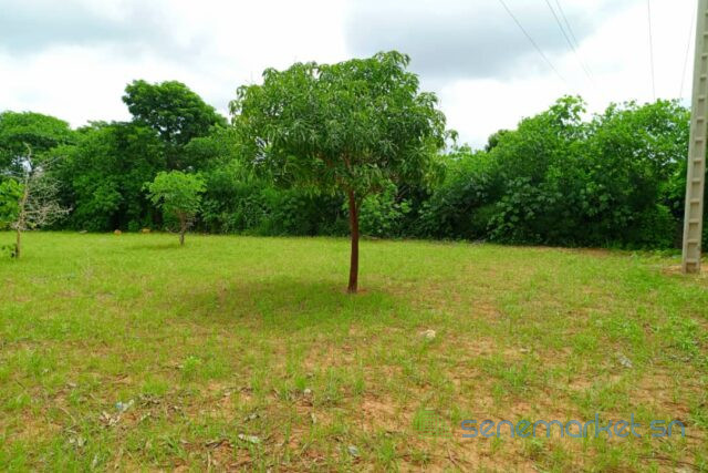 terrain-de-127-hectare-vers-keur-moussa-big-1