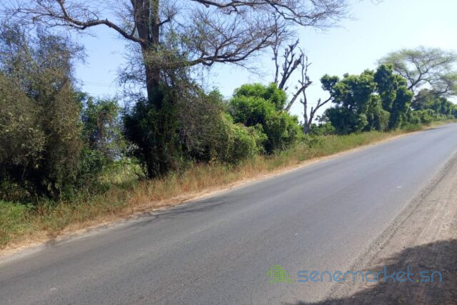terrain-de-123-hectare-vers-keur-madaro-big-1