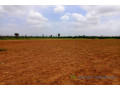 terrain-de-127-hectare-vers-notto-diobass-small-0