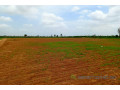 terrain-de-127-hectare-vers-notto-diobass-small-1
