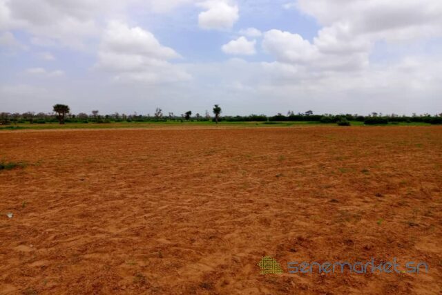 terrain-de-127-hectare-vers-notto-diobass-big-0
