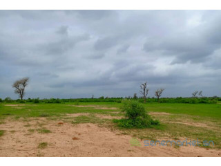 Terrain de 1,2 hectare vers Notto Diobass