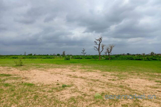 terrain-de-12-hectare-vers-notto-diobass-big-1