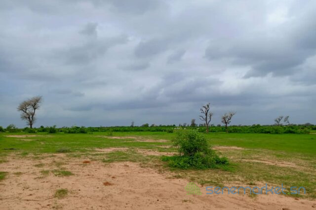 terrain-de-12-hectare-vers-notto-diobass-big-0