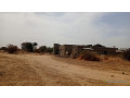 terrains-de-300-metres-carres-a-vendre-a-ndiorokh-small-2