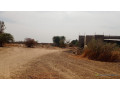 terrains-de-300-metres-carres-a-vendre-a-ndiorokh-small-1