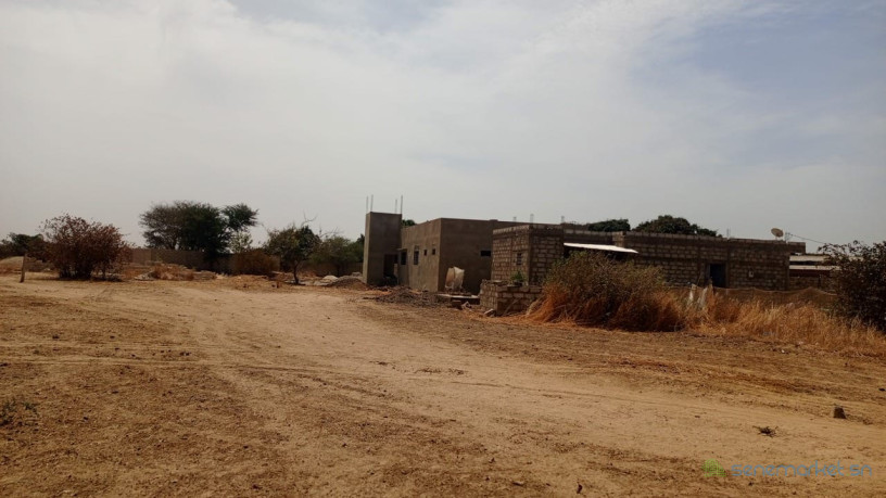 terrains-de-300-metres-carres-a-vendre-a-ndiorokh-big-2