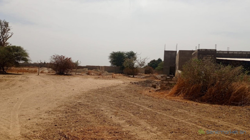 terrains-de-300-metres-carres-a-vendre-a-ndiorokh-big-1