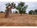 terrain-de-154-hectare-vers-tassette-small-1