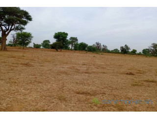 Terrain de 1,54 hectare vers Tassette