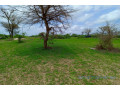 terrain-de-157-hectare-vers-keur-moussa-small-0