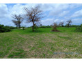 terrain-de-157-hectare-vers-keur-moussa-small-2