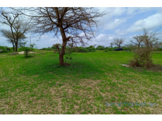 Terrain de 1,57 hectare vers Keur Moussa