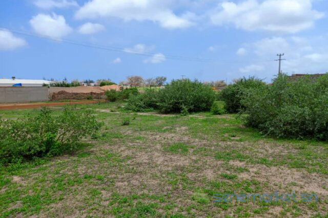 terrain-de-157-hectare-vers-keur-moussa-big-1