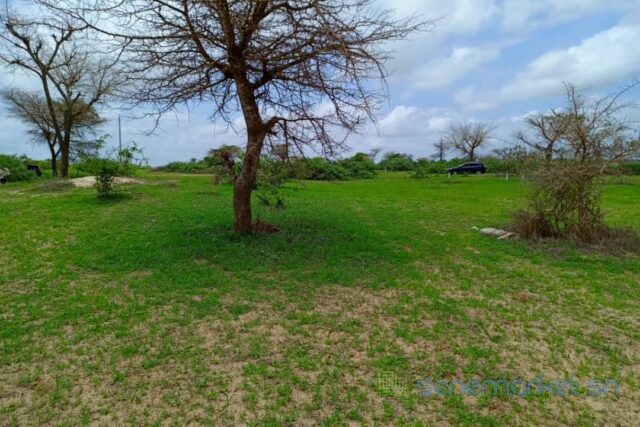 terrain-de-157-hectare-vers-keur-moussa-big-0