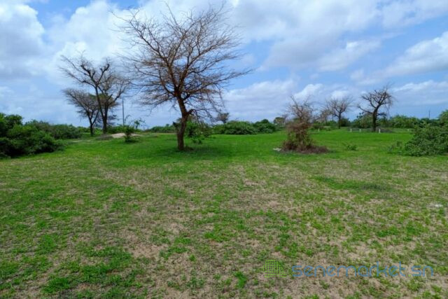 terrain-de-157-hectare-vers-keur-moussa-big-2