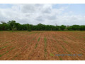 terrain-de-159-hectare-vers-keur-moussa-small-1