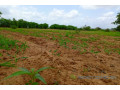 terrain-de-159-hectare-vers-keur-moussa-small-2