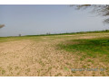 terrain-de-162-hectare-vers-tassette-small-0