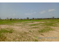 terrain-de-162-hectare-vers-tassette-small-2