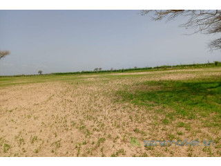 Terrain de 1,62 hectare vers Tassette