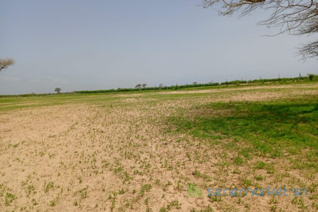 terrain-de-162-hectare-vers-tassette-big-0