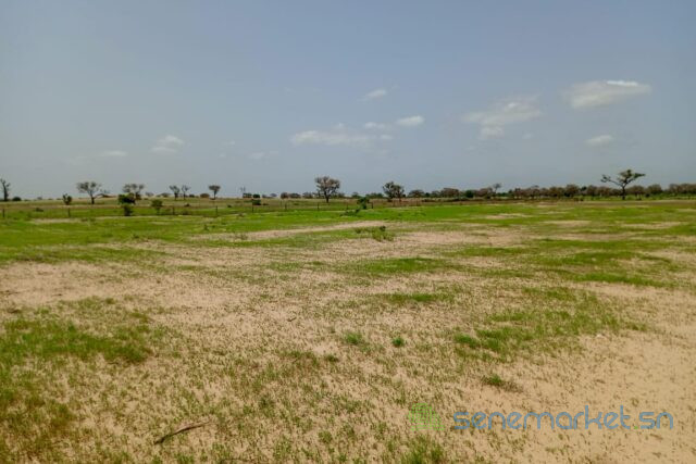 terrain-de-162-hectare-vers-tassette-big-2