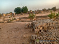 terrain-avec-fondation-etage-situe-a-touba-boborel-a-vendre-small-1