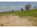terrain-de-169-hectare-vers-tassette-small-1