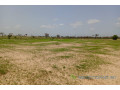 terrain-de-169-hectare-vers-tassette-small-0