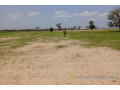 terrain-de-169-hectare-vers-tassette-small-2