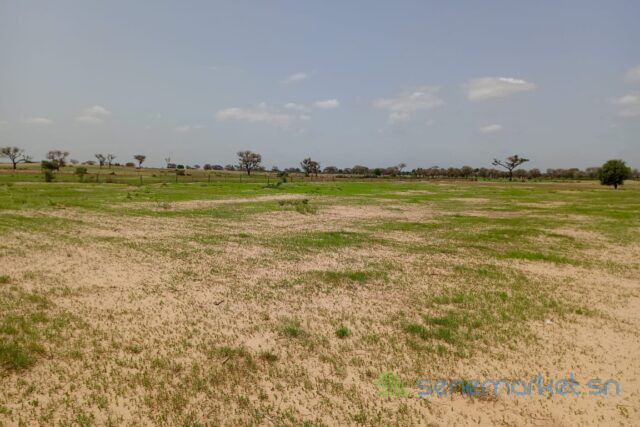 terrain-de-169-hectare-vers-tassette-big-0